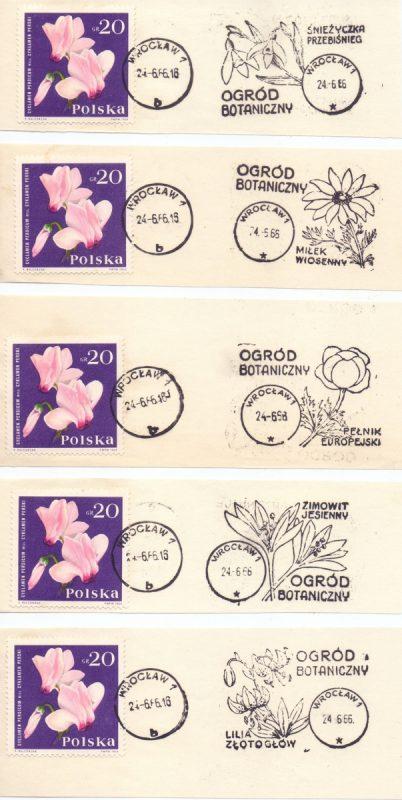 Ryc. 68. Pięć stempli popularyzujących Ogród Botaniczny Uniwersytetu Wrocławskiego z 24 czerwca 1966 r. W 1968 i 1993 roku na dwóch całostkach ukazano Ogród Botaniczny Uniwersytetu Warszawskiego.