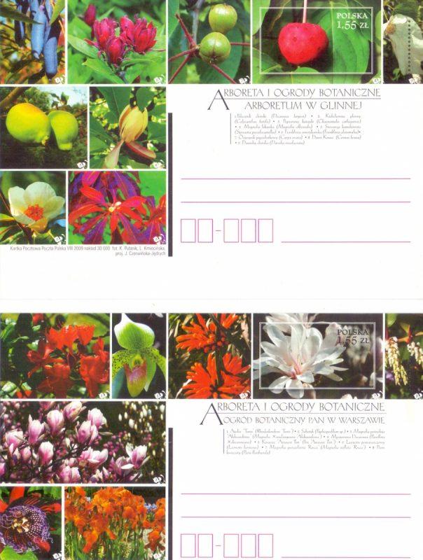 Botaniczny Uniwersytetu im. Adama Mickiewicza w Poznaniu (Cp 1683; Ryc.