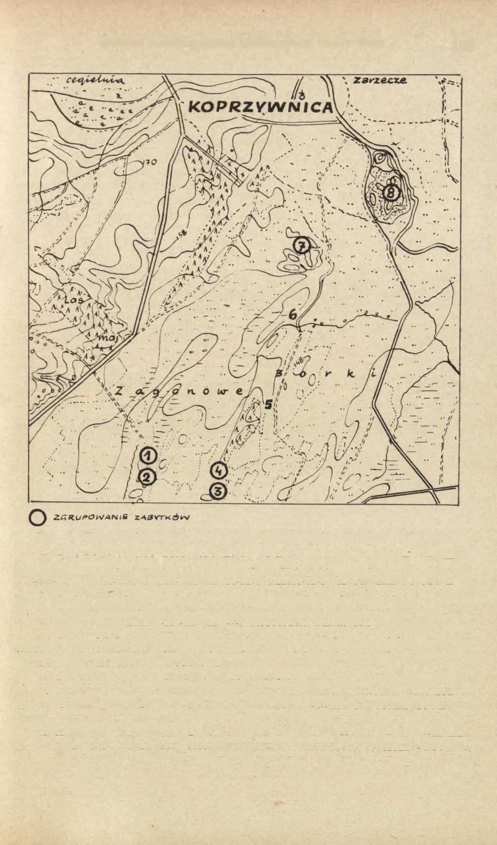 BADANIA POWIERZCHNIOWE LEWOBRZEŻNEJ TERASY WISŁY 163 Ryc. 8. Koprzywnica, pow. Sandomierz.