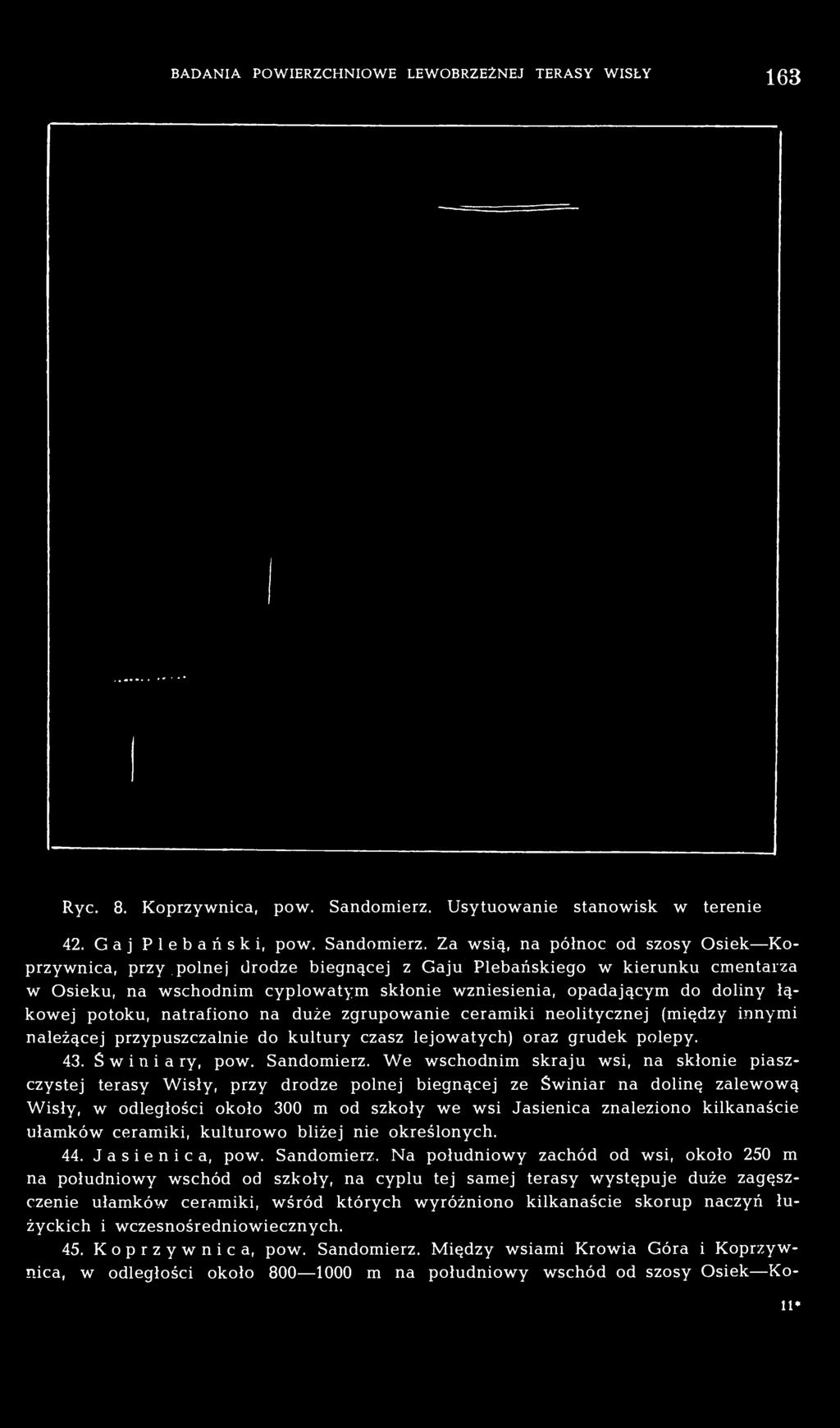 Za wsią, na północ od szosy Osiek Koprzywnica, przy polnej drodze biegnącej z Gaju Plebańskiego w kierunku cmentarza w Osieku, na wschodnim cyplowatym skłonie wzniesienia, opadającym do doliny