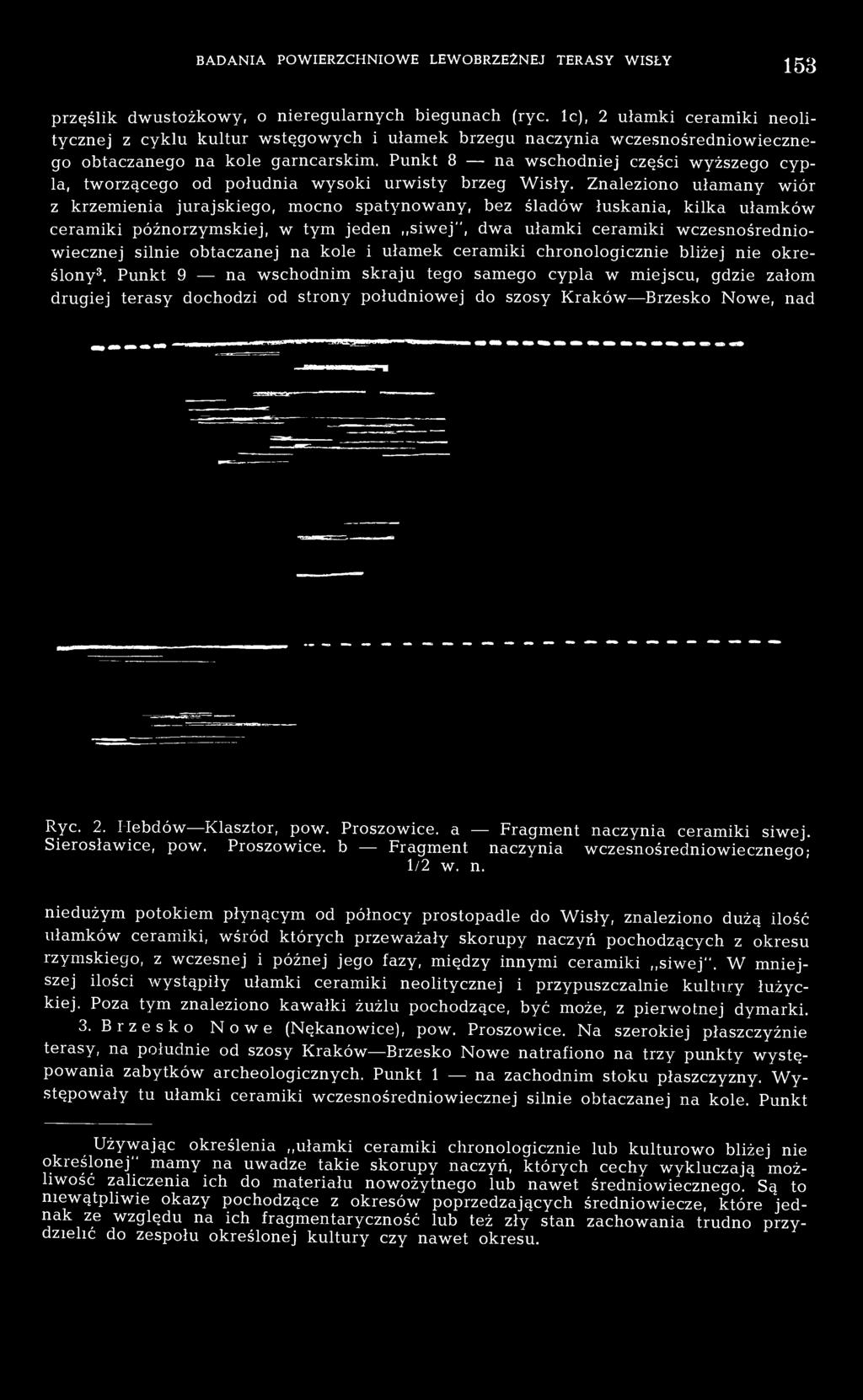 Punkt 8 na wschodniej części wyższego cypla, tworzącego od południa wysoki urwisty brzeg Wisły.
