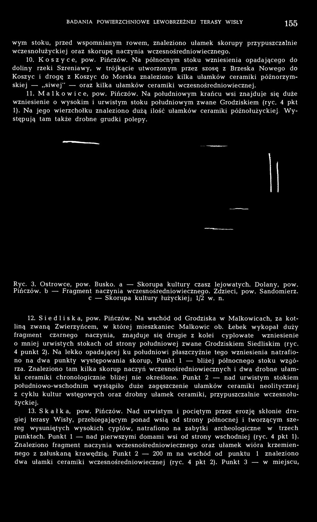 Na północnym stoku wzniesienia opadającego do doliny rzeki Szreniawy, w trójkącie utworzonym przez szosę z Brzeska Nowego do Koszyc i drogę z Koszyc do Morska znaleziono kilka ułamków ceramiki
