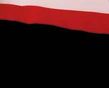 Wobler został wyposażony w wysokiej jakości stalowe kółeczka łącznikowe oraz w ostre jak igła japońskie kotwice.