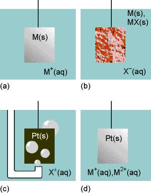 Podstawowe rodzaje półogniw elektrochemicznych metal/jon metalu