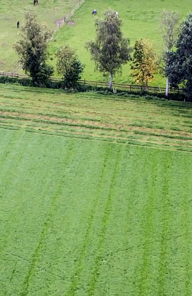 GMD 110 F 1020 F COMPACT WYSOKA JAKOŚĆ PASZY MA DECYDUJĄCE ZNACZENIE JAK UZYSKAĆ PASZĘ O MOŻLIWIE