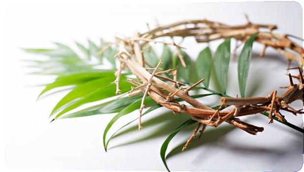 Wielki Tydzień Niedziela Palmowa Niedziela Palmowa rozpoczyna Wielki Tydzień, w którym obchodzi się pamiątkę Męki śmierci i zmartwychwstania Chrystusa.