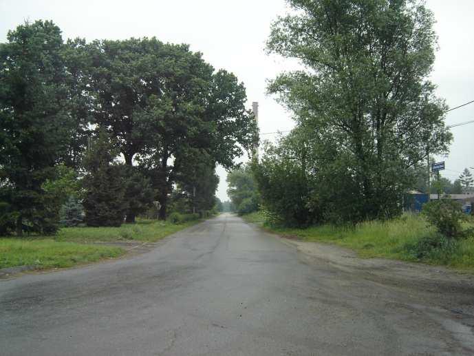 9 (ft. 2.1). Miejscami występują również zagajniki brzzwe i skupiska niewielkich pjedynczych drzew (lchy, tple, brzzy, graby, jdły).