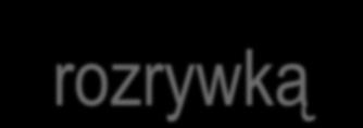 , opracowanie strategii, czyli określenie sekwencji działań i zadań dla poszczególnych wykonawców, sposobów i terminów realizacji,