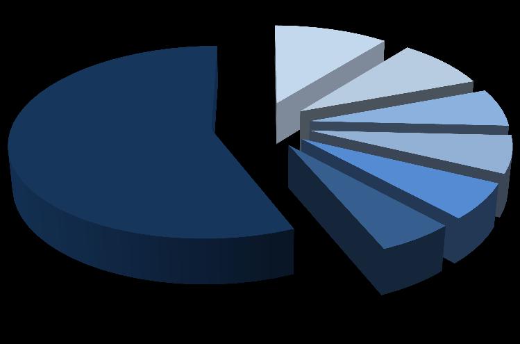 Investment Management SA 8,1% 2,5% 6,9% Paweł Dłużewski Noble Funds TFI