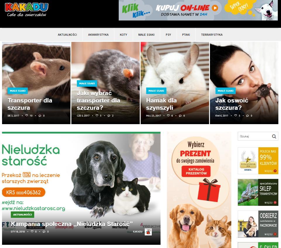INTERNET KAMPANIA BANNEROWA 6 bannerów