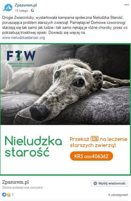 INTERNET WSPÓŁPRACA Z BLOGERAMI Blog: Z pazurem