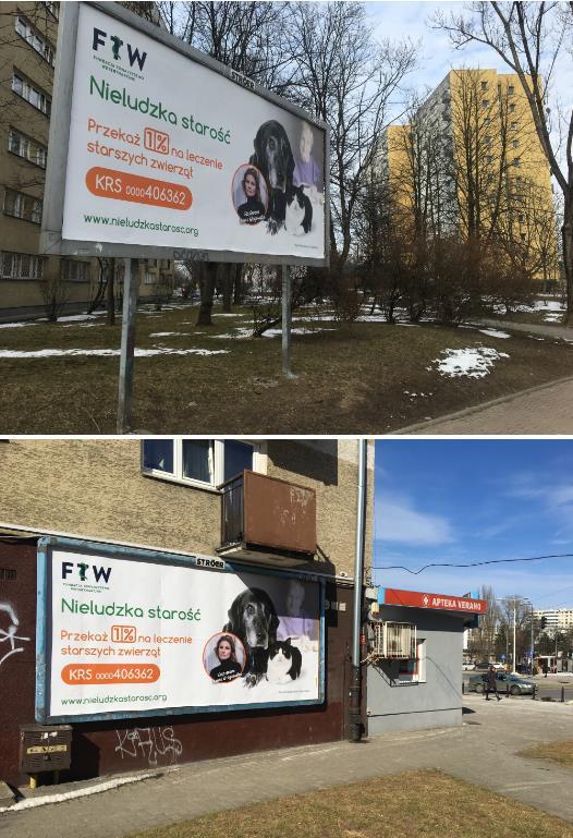 OUTDOOR 50 billboardów i