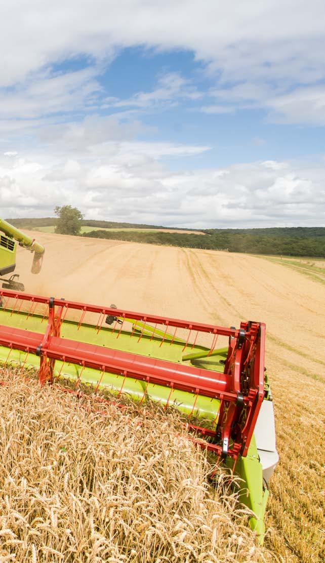 Przyrządy żniwne VARIO 14 VARIO / CERIO zbiór ryżu 20 Przyrządy żniwne MAXFLEX 22 Przyrządy żniwne MAXFLO 26