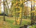 2017 17 Zachodniopomorskie Dni Dziedzictwa - Smaki dziedzictwa 2017 - Festiwal "Smaki dziedzictwa" w Chojnie 22.09-23.09.2017 18 Warsztaty ceramiczne dla dzieci i dorosłych, Chojna 2017 15.11.