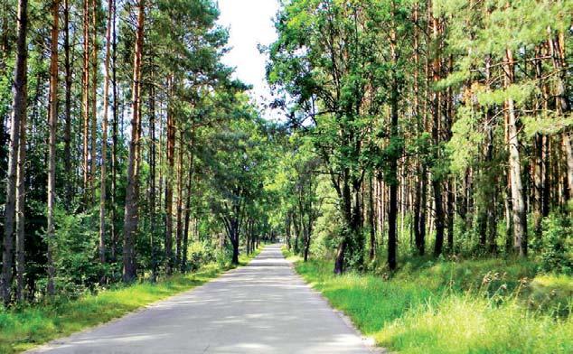 W POWIECIE PO 200 000 NA GMINĘ Każda z 12 gmin powiatu olsztyńskiego otrzyma od Powiatu dodatkowe środki na przebudowę i remont dróg.