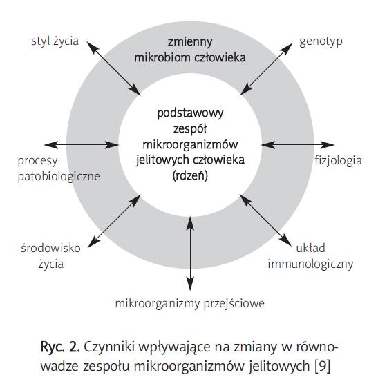 MIKROFLORA JELITOWA mikroflora komensalna około 30% Bacteroides