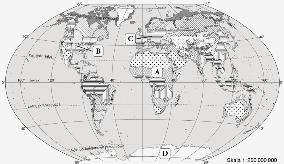 Dopisz do nich właściwą formację roślinną oraz literę z mapy, która określa miejsca występowania tej formacji.