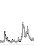 models for the S&P500 index Source: own elaboration.