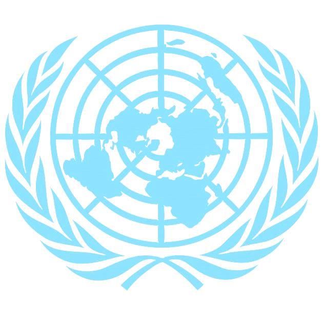 Definicja proponowana przez ONZ: Art.3 pkt.