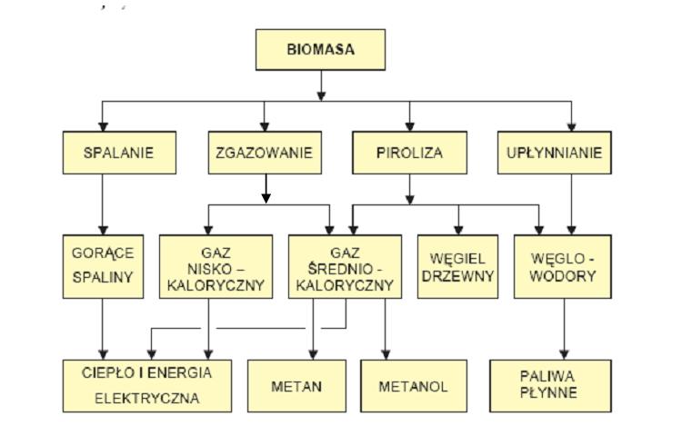 Pod pojęciem wykorzystania biomasy do celów energetycznych należy rozumieć spalanie, gazyfikację, fermentację, upłynnianie oraz pirolizę produktów organicznych fotosyntezy (biomasa stała) oraz