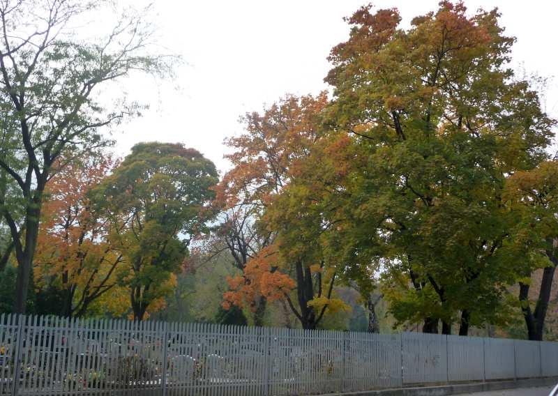 z ulicy Prandoty. (24.10.