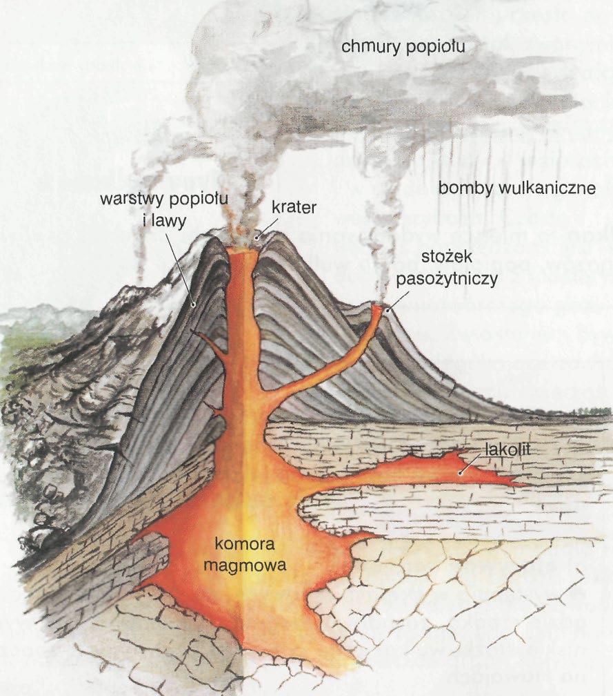 Erupcje centralne przebiegają punktowo. Materiał nagromadzony w ognisku magmowym wydostaje się na powierzchnię kominem wulkanicznym o różnej długości, zakończonym kraterem.