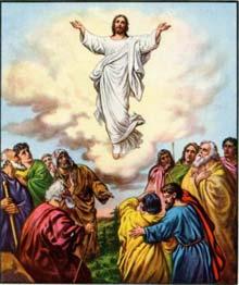 On the first Easter morning the women came to anoint the body of Jesus and they are greeted with the astonishing words of the angel: Why do you search for the Living One among the dead?