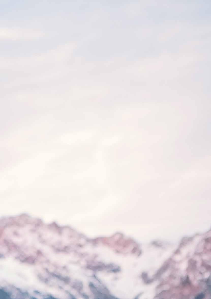 Peter Brenner Dyrektor eksport
