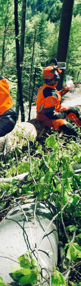 SŁOWNICZEK 4 14 28 42 46 50 54 56 64 72 78 82 88 92 96 100 116 118 Husqvarna nieustannie doskonali swoje produkty i zastrzega sobie prawo do zmian konstrukcyjnych, technicznych i materiałowych oraz