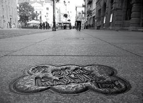 Fotografia 8