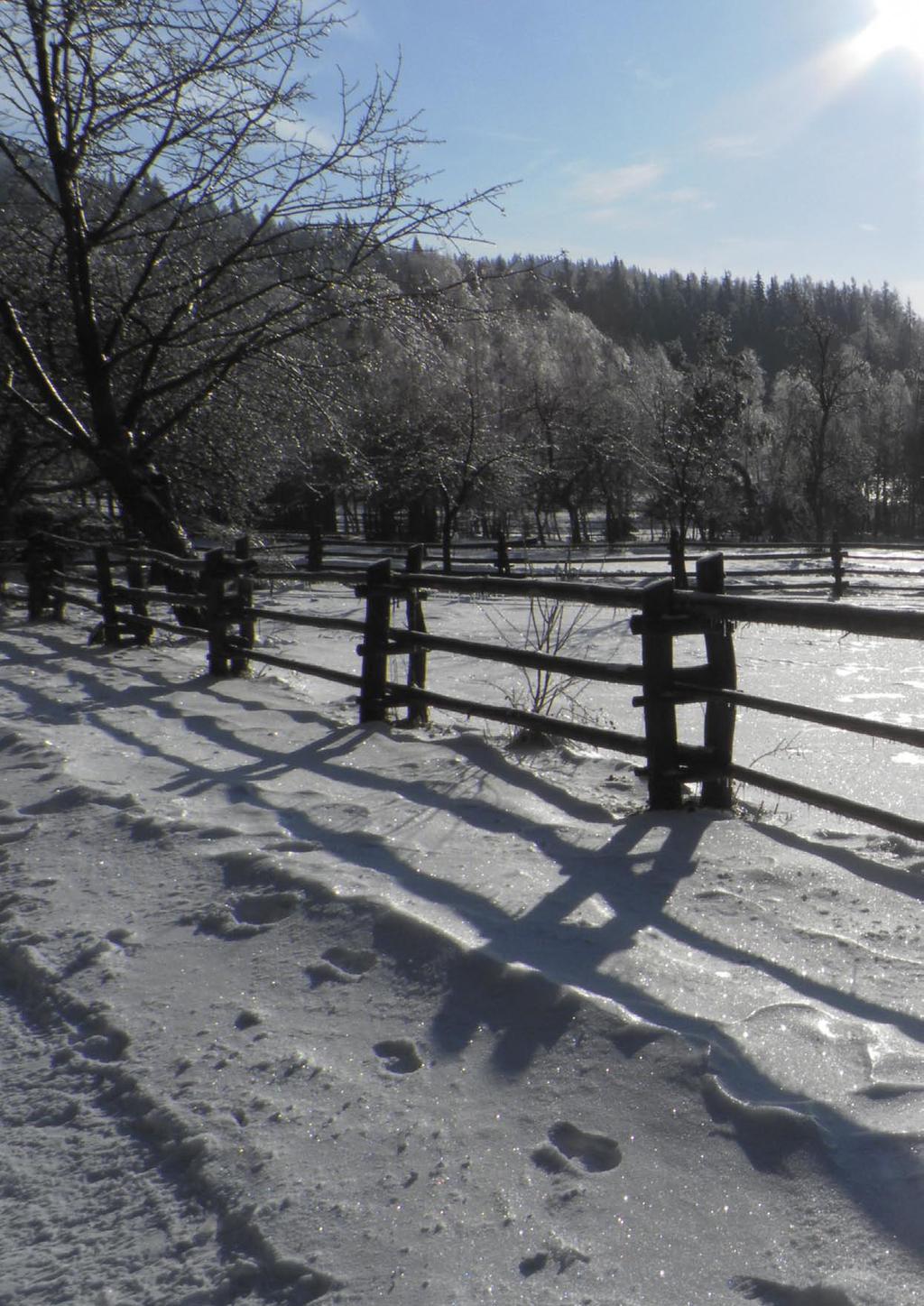 Znowu minął rok, Znów za oknem pada śnieg, Blask choinki w domu lśni, Bo świąteczne idą dni.