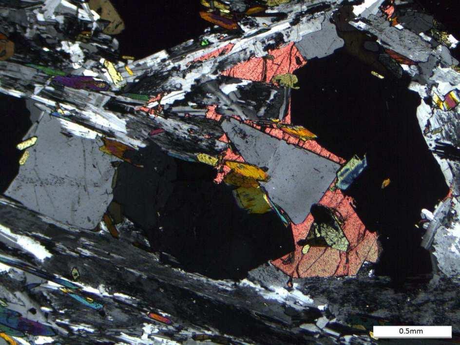 Ryc. 6. Typowe mikrofotografie lujawrytów z Masywu Lowozierskiego. Egirynowo-eudialitowe fojaity, to skały barwy szaroczarnej, o wyraźnie linijnej strukturze.