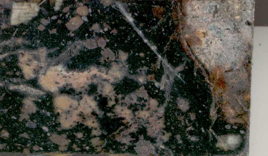Obok eudialitu spotyka się też lorenzenit wykształcony zwykle w postaci automorficznych, szkieletowych kryształów o silnym pleochroiźmie i dychroiźmie w płytce cienkiej zaznaczającym się zmianą barwy