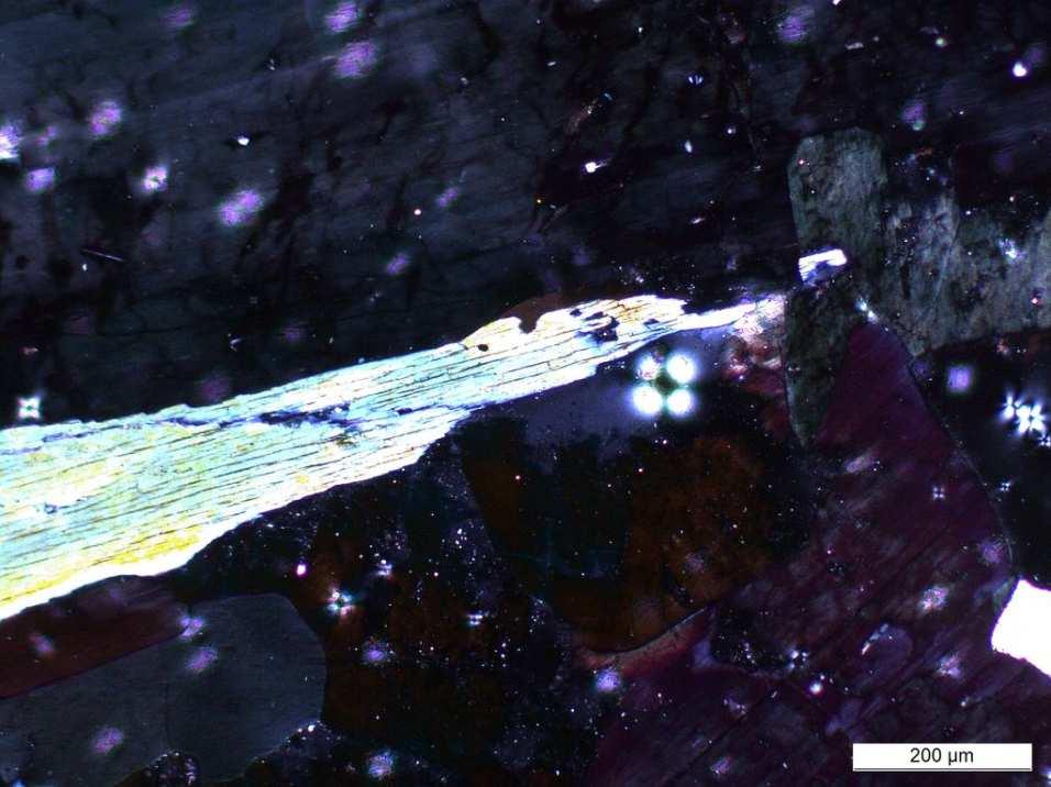 4). Obok eudialitu pojawiają się w skałach z Chibin liczne minerały femiczne towarzyszące egirynowy.