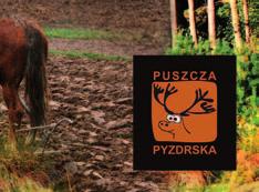 wygrywa ten, kto ma najmniejszy stan posiadania, najkrótszą listę płac i kto zdoła wytworzyć najpotężniejszy wizerunek rynkowy.