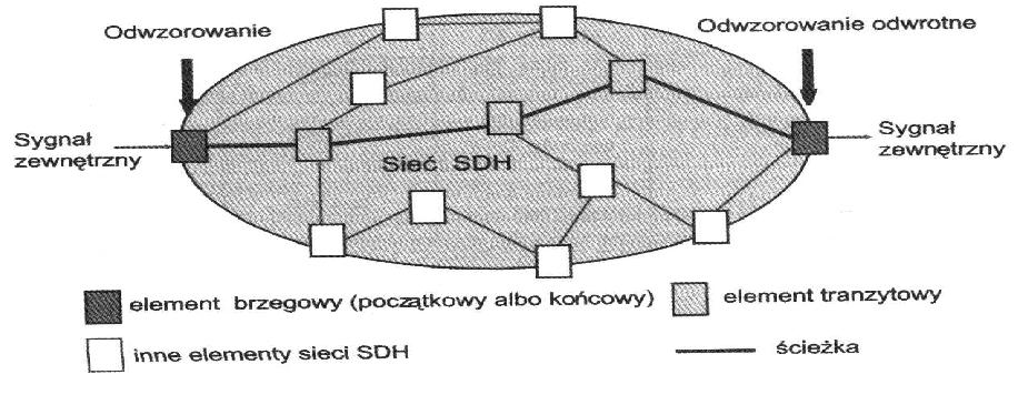 1 Geneza systemów SDH