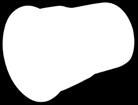 PVC-U / rura żeliwna bez uszczelki D DN PVC Żeliwo D 1 F1 110/110 110 124 134 60 3001669