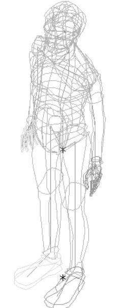 wykorzystania ruchliwości stawów, oraz określić obciążenia występujące w układzie kostnym. Badanie przejść minimalnych Rys.2. Modele sylwetek ludzkich Model z rys.