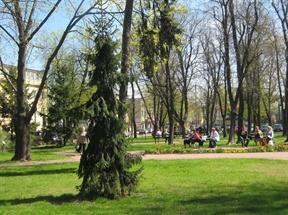 Pierwszy z nich został posadzony 19 kwietnia 2009 r.