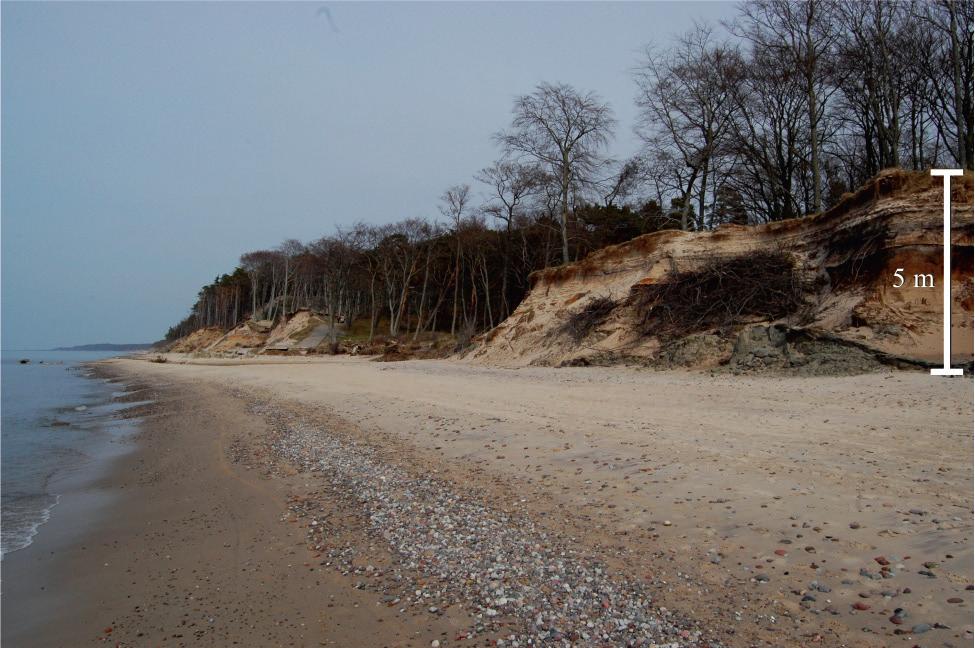 a strop koluwium rzędnej 6 m n.p.m. Profil morfologiczny przeprowadzony prostopadle do brzegu w rejonie 229,6 km UM wskazuje, że osuwiska występują cykliczne.