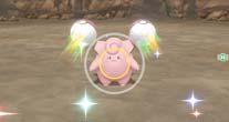 Pokémony znalezione w regionie Kanto!