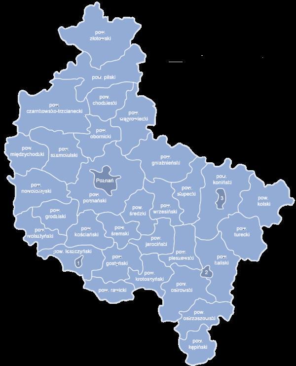 Samorządy terytorialne w województwie wielkopolskim 226 samorządów gmin (19 miejskich; 91 miejskowiejskich, 116 wiejskich).
