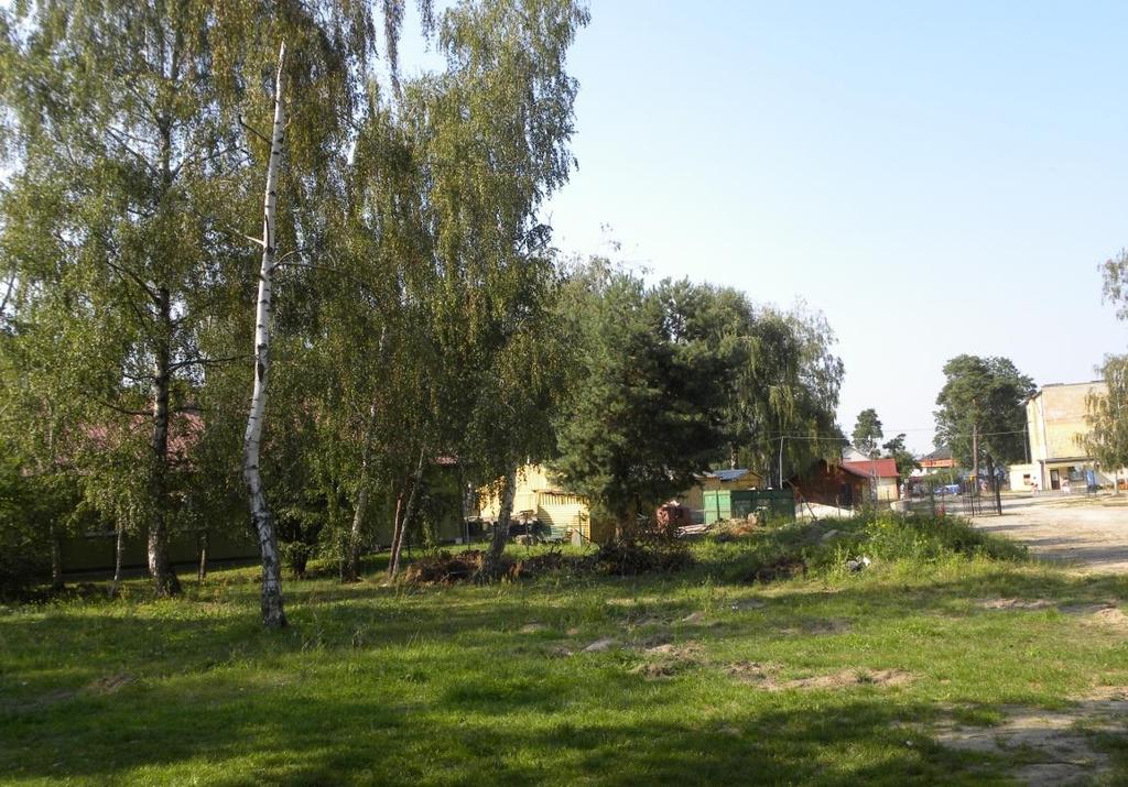 Fotografia 7 Teren pozakładowy (dawny teren bazy