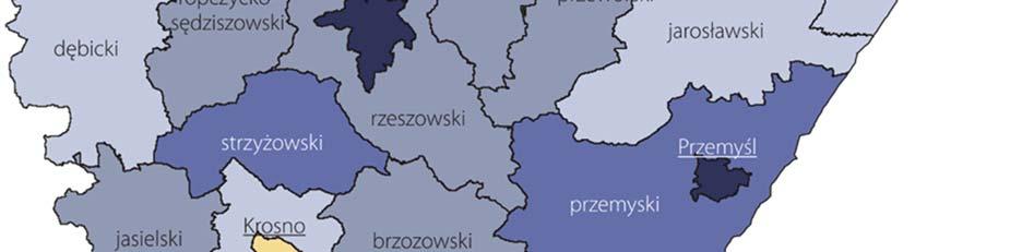 przedsiębiorstw w styczniu 2017 r.
