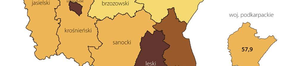 W porównaniu z rokiem poprzednim najwyższy wzrost liczby osób fizycznych