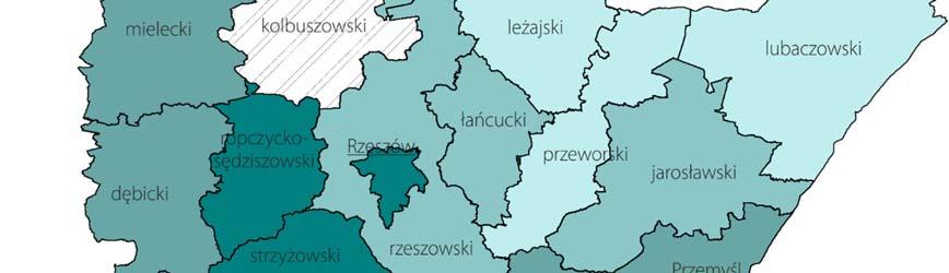 Wskaźnik rentowności kapitału Wskaźnik rentowności kapitału w okresie