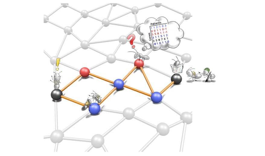genetyczne, ewolucyjne; rojowe (Particie swarm optimisation), mrówkowe (Ant
