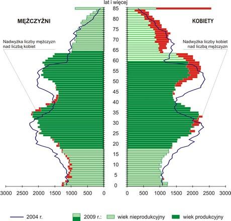 Ludność wg płci i wieku w Gdyni (tzw. piramida wieku) Pogłębia się proces starzenia mieszkańców Gdyni. Tabl. 1.