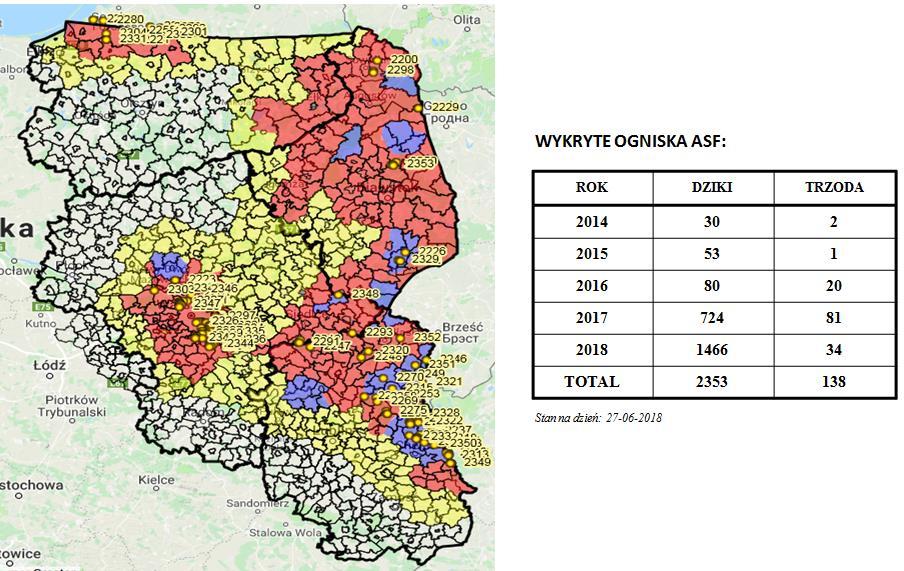 Afrykański Pomór Świń (ASF) Aktualna sytuacja w Polsce Mapa ognisk i przypadków ASF w
