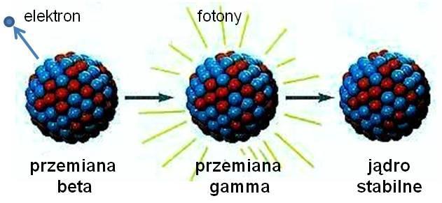 1.2. Emisja promieniowania gamma Emisja promieniowania gamma następuje najczęściej wskutek przemian i reakcji jądrowych. Przemiana gamma jest na ogół końcowym etapem przemian jądrowych alfa lub beta.